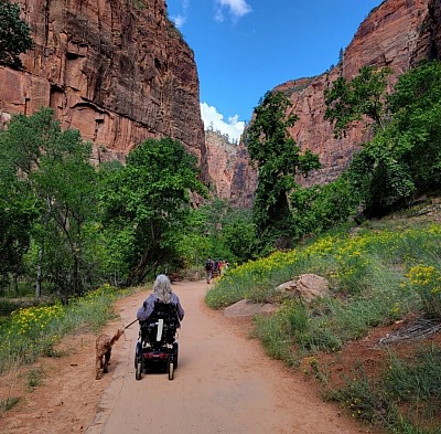 HIKING IN ZION